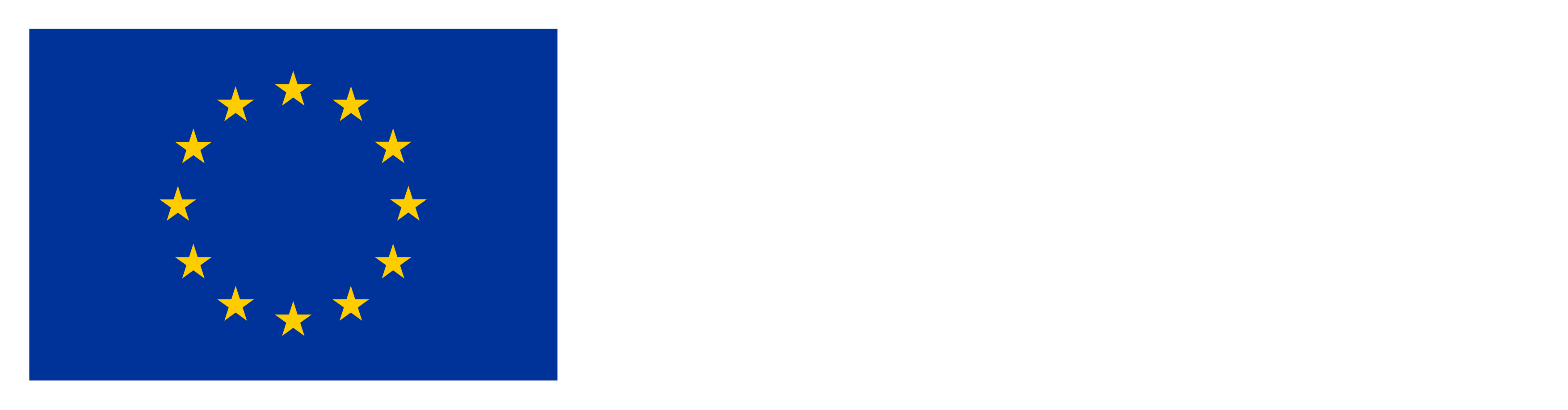 Financováno Evropskou unií